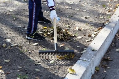 Более тысячи человек приняли участие в патриотическом субботнике РЭО